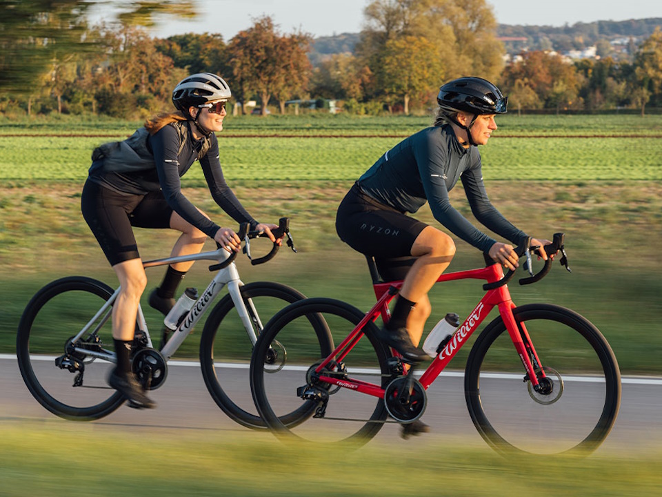 catégorie vélos de route confort et endurance chez Vertical Bike à Muret