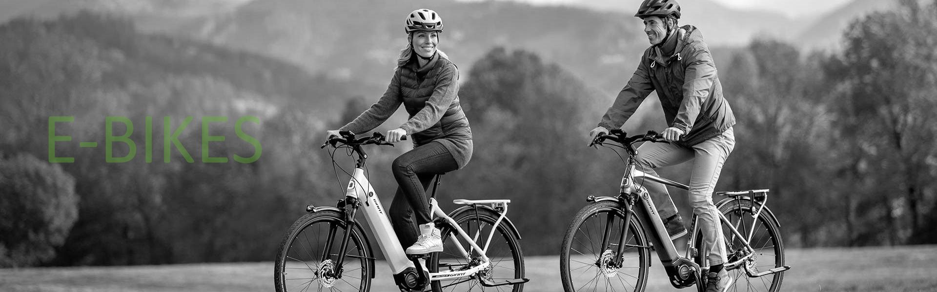 Gammes vélos électriques ou e-bikes à découvrir chez Vertical Bike à Muret